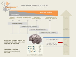 RITARDO AUTISMO SCHIZOFRENIA DISTURBO DISTURBI AFFETTIVI 
MENTALE SCHIZOAFFETTIVO UNIPOLARI - BIPOLARI 
SINTOMATOLOGIA POSITIVA 
VARIANTI STRUTTURALI DEL DNA 
PATTERN NEUROFUNZIONALI E BRAIN IMAGING 
NEI DISTURBI DELLO SPETTRO AFFETTIVO 
SINTOMATOLOGIA AFFETTIVA 
DEFICIT COGNITIVO 
SINTOMATOLOGIA NEGATIVA 
PATOLOGIE DEL 
NEUROSVILUPPO 
PATOLOGIE AFFETTIVE 
SINDROMI 
CLINICHE 
DOMINI 
PSICOPATOLOGICI 
SISTEMI 
NEURONALI 
SISTEMI 
BIOLOGICI 
VARIANTI 
GENETICHE 
IPOTESI DELL’ ALTERATO SCHEMA DEL 
NEUROSVILUPPO ALLA BASE DELLA 
VULNERABILTA’ FENOTIPICA 
ESPOSIZIONE A STRESSOR 
AMBIENTALI IN FASI CRITICHE 
DELLA VITA 
DIMENSIONI PSICOPATOLOGICHE 
NEUROIMAGING 
QUALITATIVO 
QUANTITATIVO 
 
