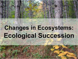Changes in Ecosystems: . Ecological Succession 