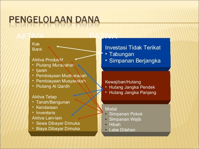 hibah modal pinjaman usaha dana Panduan bina lestari bmt