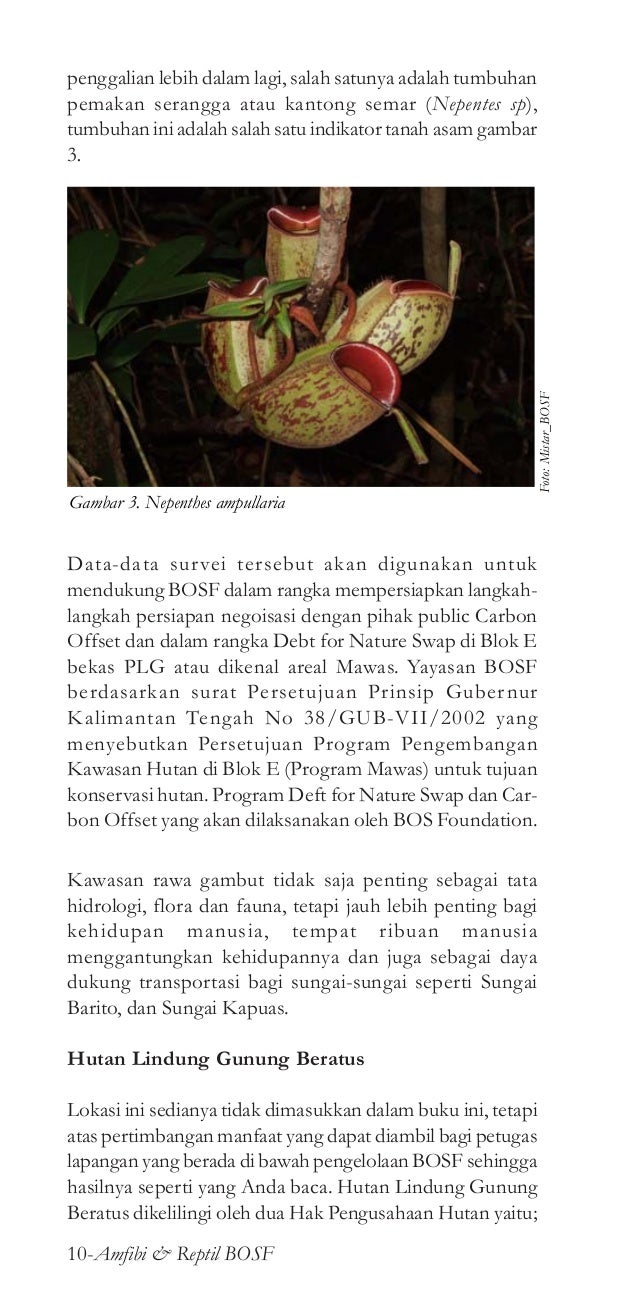 Panduan Herpetofauna Beratuskalteng