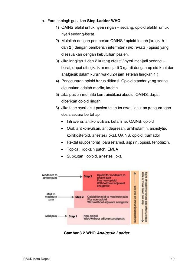 Panduan manajemen nyeri Panduan manajemen nyeri