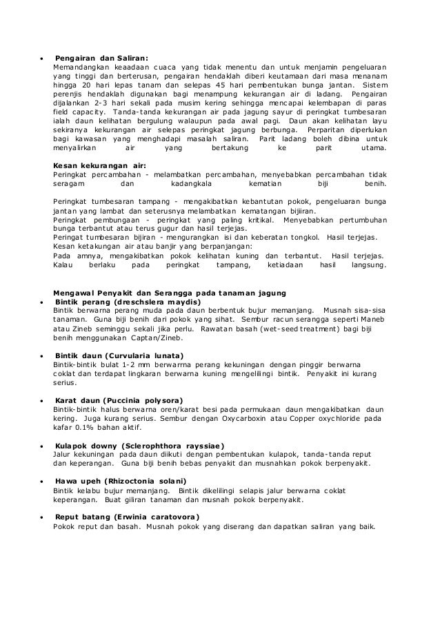 Gagasan Untuk Gambar Tanaman Jagung Hitam Putih - Bunga Hias