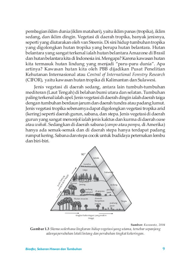 Panduan Pembelajaran Geografi Kelas XI