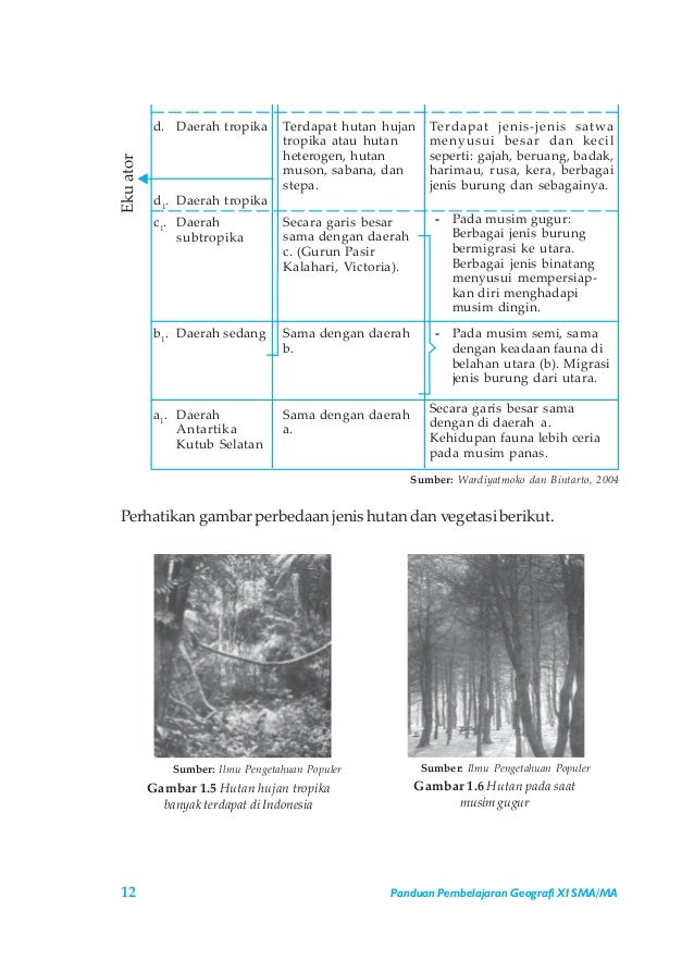 Panduan Pembelajaran Geografi Kelas XI