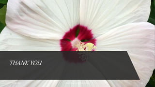 THANK YOU
18/06/2021 Pandu Roga (Dr Akshay Shetty) 22
 