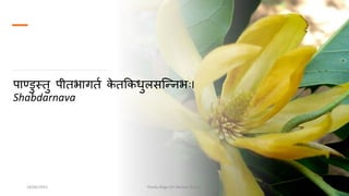 पाण्डुस्तु पीतभागतत क
े तककधुलसन्निभभ I
Shabdarnava
18/06/2021 Pandu Roga (Dr Akshay Shetty) 5
 