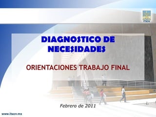 DIAGNOSTICO DE NECESIDADES   ORIENTACIONES TRABAJO FINAL Febrero de 2011 