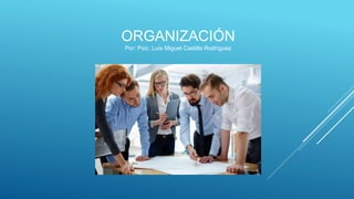 ORGANIZACIÓN
Por: Psic. Luis Miguel Castillo Rodríguez
 