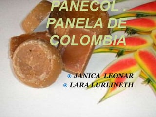 PANECOL .
PANELA DE
COLOMBIA
 JANICA LEONAR
 LARA LURLINETH
 