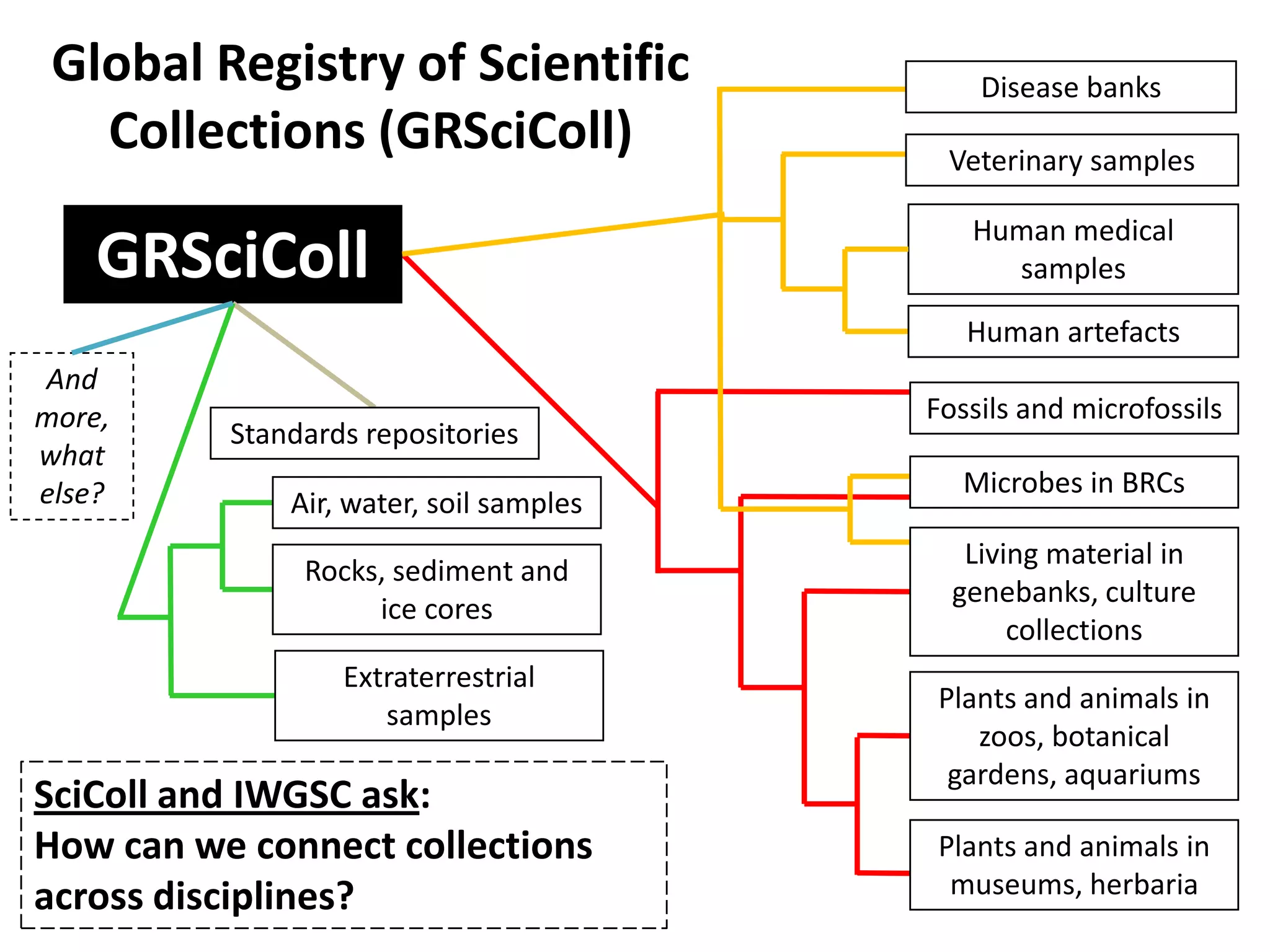 Global Registry of Scientific
Collections (GRSciColl)

GRSciColl

Disease banks
Veterinary samples
Human medical
samples
Human artefacts

And
more,
what
else?

Standards repositories
Air, water, soil samples
Rocks, sediment and
ice cores
Extraterrestrial
samples

SciColl and IWGSC ask:
How can we connect collections
across disciplines?

Fossils and microfossils
Microbes in BRCs
Living material in
genebanks, culture
collections

Plants and animals in
zoos, botanical
gardens, aquariums
Plants and animals in
museums, herbaria

 