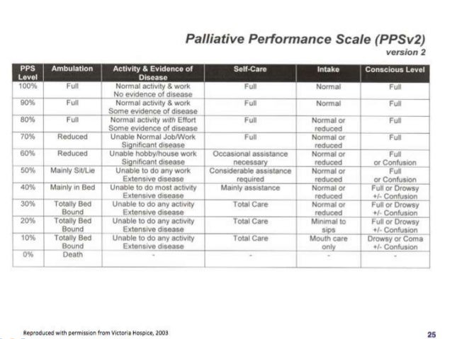 Panel 3 Creating a Responsive Health Care System for