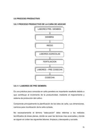   76
5.6 PROCESO PRODUCTIVO
5.6.1 PROCESO PRODUCTIVO DE LA CAÑA DE AZUCAR
5.6.1.1 LABORES DE PRE SIEMBRA
Es una práctica poco conocida en caña panelera es importante resaltarla debido a
que contribuye al incremento de la productividad, mediante el mejoramiento y
sistema de producción del cultivo.
Comprende principalmente la planificación de los lotes de caña, sus dimensiones,
caminos para movilización de la caña cortada.
No necesariamente el término "adecuación" debe referirse a los métodos
tecnificados de áreas planas, donde se usan las técnicas mas avanzadas y donde
se siguen en orden las siguientes labores: limpieza y descepada y surcada.
LABORES PRE- SIEMBRA
SIEMBRA 
RIEGO
LABORES AGRICOLAS
FERTILIACION
LABORES – PRE COSECHA
COSECHA
 
