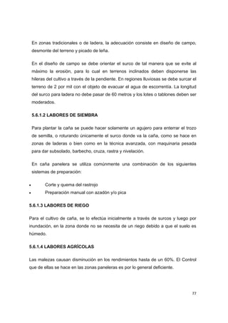   77
En zonas tradicionales o de ladera, la adecuación consiste en diseño de campo,
desmonte del terreno y picado de leña.
En el diseño de campo se debe orientar el surco de tal manera que se evite al
máximo la erosión, para lo cual en terrenos inclinados deben disponerse las
hileras del cultivo a través de la pendiente. En regiones lluviosas se debe surcar el
terreno de 2 por mil con el objeto de evacuar el agua de escorrentía. La longitud
del surco para ladera no debe pasar de 60 metros y los lotes o tablones deben ser
moderados.
5.6.1.2 LABORES DE SIEMBRA
Para plantar la caña se puede hacer solamente un agujero para enterrar el trozo
de semilla, o roturando únicamente el surco donde va la caña, como se hace en
zonas de laderas o bien como en la técnica avanzada, con maquinaria pesada
para dar subsolado, barbecho, cruza, rastra y nivelación.
En caña panelera se utiliza comúnmente una combinación de los siguientes
sistemas de preparación:
 Corte y quema del rastrojo
 Preparación manual con azadón y/o pica
5.6.1.3 LABORES DE RIEGO
Para el cultivo de caña, se lo efectúa inicialmente a través de surcos y luego por
inundación, en la zona donde no se necesita de un riego debido a que el suelo es
húmedo.
5.6.1.4 LABORES AGRÍCOLAS
Las malezas causan disminución en los rendimientos hasta de un 60%. El Control
que de ellas se hace en las zonas paneleras es por lo general deficiente.
 
