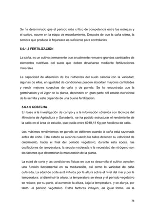   78
Se ha determinado que el periodo más crítico de competencia entre las malezas y
el cultivo, ocurre en la etapa de macollamiento. Después de que la caña cierra, la
sombra que produce la hojarasca es suficiente para controlarlas
5.6.1.5 FERTILIZACIÓN
La caña, es un cultivo permanente que anualmente remueve grandes cantidades de
elementos nutritivos del suelo que deben devolverse mediante fertilizaciones
minerales.
La capacidad de absorción de los nutrientes del suelo cambia con la variedad;
algunas de ellas, en igualdad de condiciones pueden absorber mayores cantidades
y rendir mejores cosechas de caña y de panela. Se ha encontrado que la
germinación y el vigor de la planta, dependen en gran parte del estado nutricional
de la semilla y esto depende de una buena fertilización.
5.6.1.6 COSECHA
En base a la investigación de campo y a la información obtenida con técnicos del
Ministerio de Agricultura y Ganadería, se ha podido estructurar el rendimiento de
la caña en el área de estudio, que oscila entre 6918,18 Kg por hectárea de caña.
Los máximos rendimientos en panela se obtienen cuando la caña está sazonada
antes del corte. Este estado se alcanza cuando los tallos detienen su velocidad de
crecimiento, hacia el final del período vegetativo; durante esta época, las
oscilaciones de temperatura, la sequía moderada y la necesidad de nitrógeno son
los factores que determinan la maduración de la planta.
La edad de corte y las condiciones físicas en que se desarrolla el cultivo cumplen
una función fundamental en su maduración, así como la variedad de caña
cultivada. La edad de corte está influida por la altura sobre el nivel del mar y por la
temperatura: al disminuir la altura, la temperatura se eleva y el período vegetativo
se reduce; por su parte, al aumentar la altura, baja la temperatura, y se alarga, por
tanto, el período vegetativo. Estos factores influyen, en igual forma, en la
 