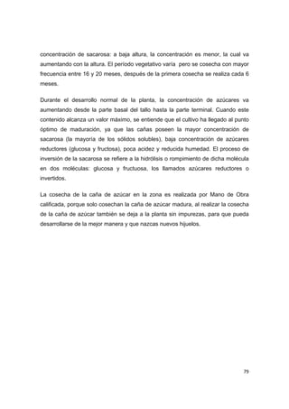   79
concentración de sacarosa: a baja altura, la concentración es menor, la cual va
aumentando con la altura. El período vegetativo varía pero se cosecha con mayor
frecuencia entre 16 y 20 meses, después de la primera cosecha se realiza cada 6
meses.
Durante el desarrollo normal de la planta, la concentración de azúcares va
aumentando desde la parte basal del tallo hasta la parte terminal. Cuando este
contenido alcanza un valor máximo, se entiende que el cultivo ha llegado al punto
óptimo de maduración, ya que las cañas poseen la mayor concentración de
sacarosa (la mayoría de los sólidos solubles), baja concentración de azúcares
reductores (glucosa y fructosa), poca acidez y reducida humedad. El proceso de
inversión de la sacarosa se refiere a la hidrólisis o rompimiento de dicha molécula
en dos moléculas: glucosa y fructuosa, los llamados azúcares reductores o
invertidos.
La cosecha de la caña de azúcar en la zona es realizada por Mano de Obra
calificada, porque solo cosechan la caña de azúcar madura, al realizar la cosecha
de la caña de azúcar también se deja a la planta sin impurezas, para que pueda
desarrollarse de la mejor manera y que nazcas nuevos hijuelos.
 