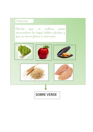 Verduras
Planta que se cultiva para
aprovechar las hojas, tallos o frutos, y
que se come fresca o cocinada.
SOBRE VERDE
 