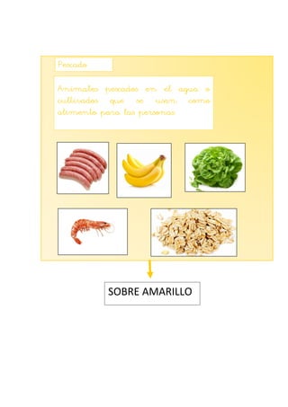 Pescado
Animales pescados en el agua o
cultivados que se usan como
alimento para las personas.
SOBRE AMARILLO
 