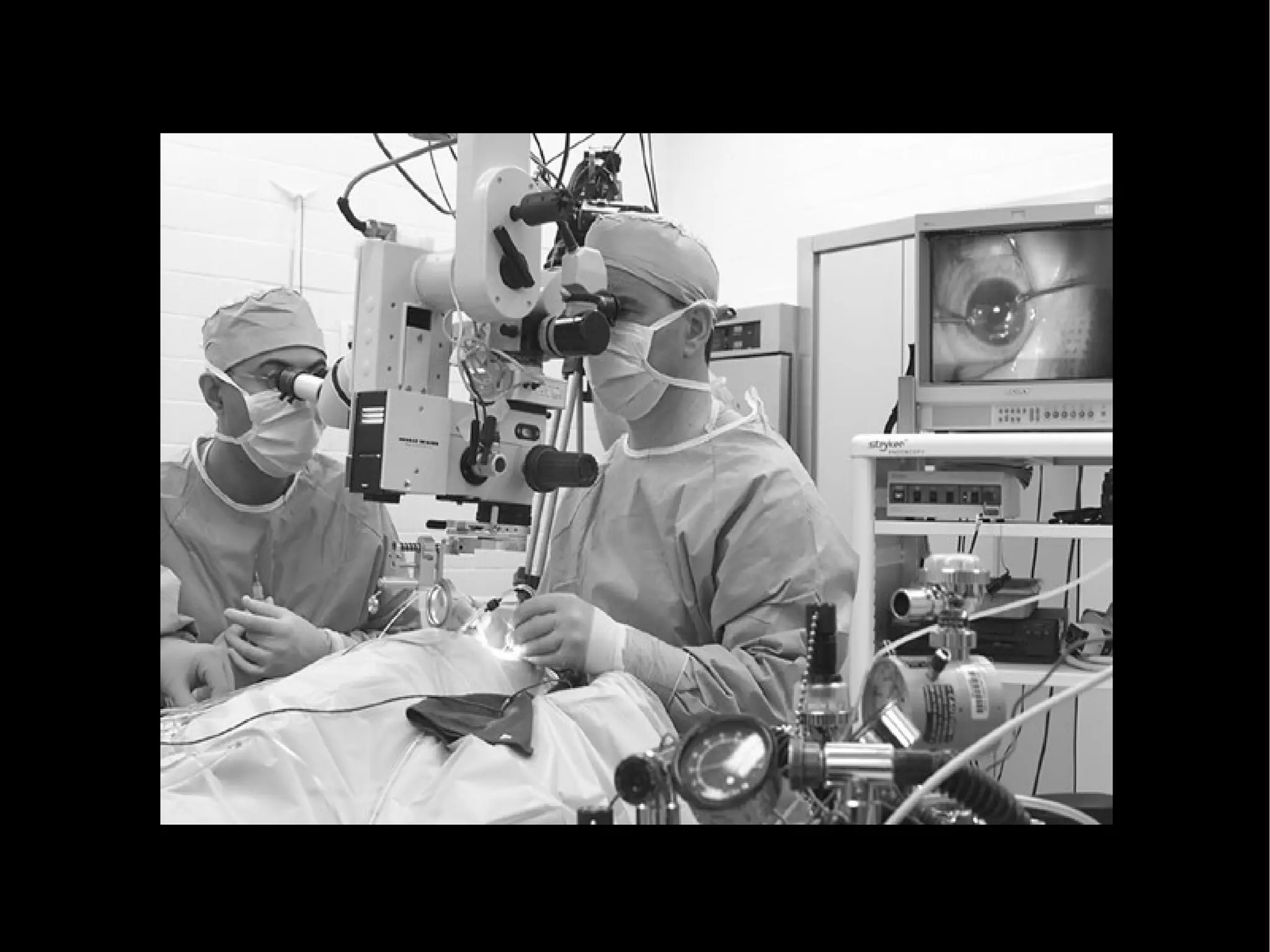 Establishing a Common Ground for IA Practice and Education