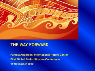 THE WAY FORWARD
Pamela Anderson, International Potato Center
First Global Biofortification Conference
11 November 2010
 