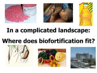 In a complicated landscape:
Where does biofortification fit?
 