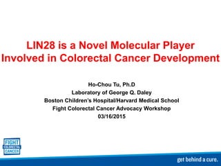 LIN28 is a Novel Molecular Player
Involved in Colorectal Cancer Development
Ho-Chou Tu, Ph.D
Laboratory of George Q. Daley
Boston Children’s Hospital/Harvard Medical School
Fight Colorectal Cancer Advocacy Workshop
03/16/2015
 