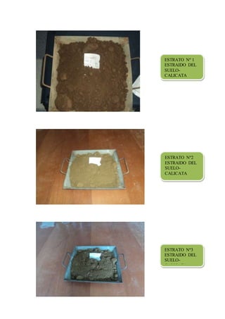 ESTRATO Nº 1
ESTRAIDO DEL
SUELO-
CALICATA
ESTRATO Nº2
ESTRAIDO DEL
SUELO-
CALICATA
ESTRATO Nº3
ESTRAIDO DEL
SUELO-
CALICATA
 