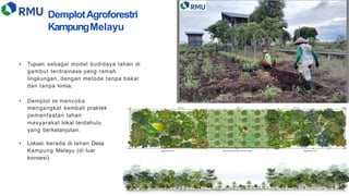 Panelis 3 - CEO PT Rimba Makmur Utama.pdf