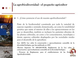 La agrobiodiversidad - el pequeño agricultor



   1. ¿Cómo potenciar el uso de nuestra agrobiodiversidad ?

   Parte de la biodiversidad constituida por toda la variedad de
   especies vegetales y animales domesticadas, así como la variabilidad
   genética que existe al interior de ellas y los agroecosistemas en los
   que se desarrollan, también se incluyen los parientes silvestres de
   las plantas cultivadas, así como a los conocimientos, tecnologías y
   demás aspectos culturales desplegados por las sociedades rurales
   para el desarrollo de la agricultura
   -Ley 26839, Ley sobre la conservación y aprovechamiento sostenible de la
   diversidad biológica, que fue publicada en 1997
   -Decreto Supremo Nº 068-2001-PCM, Reglamento de la Ley sobre la
   conservación y aprovechamiento sostenible de la diversidad biológica
   - Proyecto de Reglamento para el establecimiento de las Zonas de
   Agrobiodiversidad.
 
