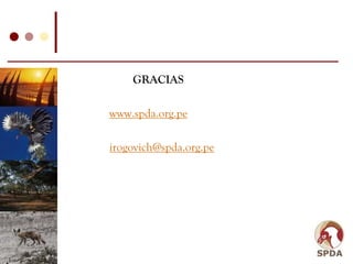 GRACIAS

www.spda.org.pe

irogovich@spda.org.pe
 