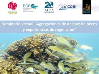 Seminario virtual “Agregaciones de desove de peces
y experiencias de regulación”
 
