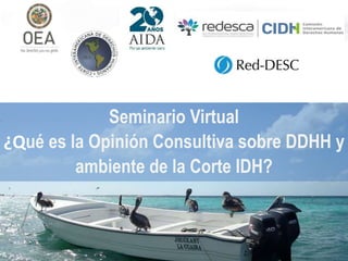 Seminario Virtual
¿Qué es la Opinión Consultiva sobre DDHH y
ambiente de la Corte IDH?
 