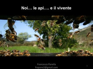Noi… le api…. e il vivente
Francesco Panella
frapane2@gmail.com
1
 