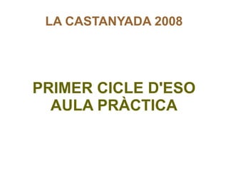 LA CASTANYADA 2008 PRIMER CICLE D'ESO AULA PRÀCTICA 