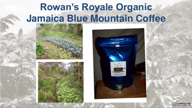 Blue Mountain Coffee Ceo Blue Mountain Coffee Ceo
