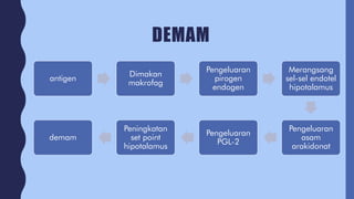 DEMAM
antigen
Dimakan
makrofag
Pengeluaran
pirogen
endogen
Merangsang
sel-sel endotel
hipotalamus
Pengeluaran
asam
arakidonat
Pengeluaran
PGL-2
Peningkatan
set point
hipotalamus
demam
 
