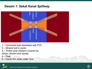 Riset aksi partisipatif untuk pencegahan kebakaran dan restorasi gambut berbasis masyarakat: Model bisnis, sekat kanal dan sistem pemantauan partisipatif