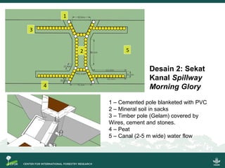 Riset aksi partisipatif untuk pencegahan kebakaran dan restorasi gambut berbasis masyarakat: Model bisnis, sekat kanal dan sistem pemantauan partisipatif