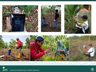 Riset aksi partisipatif untuk pencegahan kebakaran dan restorasi gambut berbasis masyarakat: Model bisnis, sekat kanal dan sistem pemantauan partisipatif