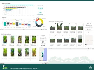 Riset aksi partisipatif untuk pencegahan kebakaran dan restorasi gambut berbasis masyarakat: Model bisnis, sekat kanal dan sistem pemantauan partisipatif