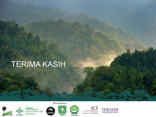 Riset aksi partisipatif untuk pencegahan kebakaran dan restorasi gambut berbasis masyarakat: Model bisnis, sekat kanal dan sistem pemantauan partisipatif