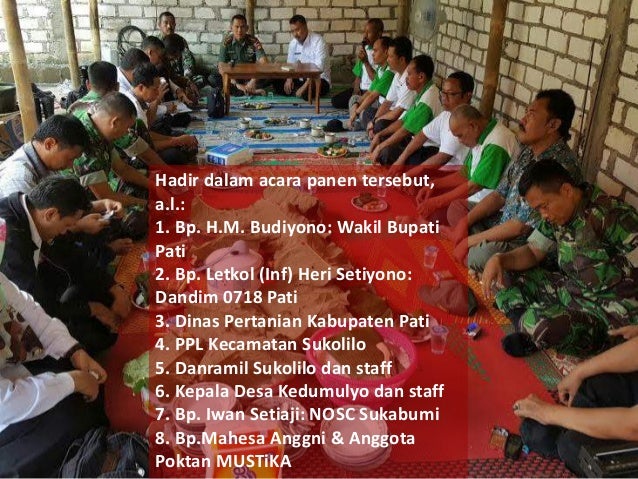 Panen Padi SRI Organik, Kedumulyo Pati 14 Januari2016