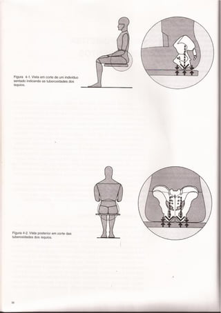 Panero, dimensionamento humano a3e4