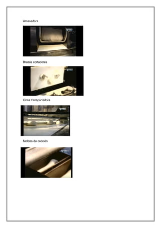 Amasadora
Brazos cortadores
Cinta transportadora
Moldes de cocción
 