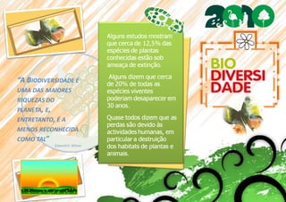 Panfleto Ano Internacional da Biodiversidade