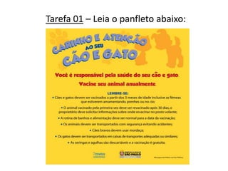 Tarefa 01 – Leia o panfleto abaixo:

 