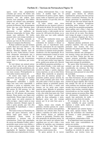 Panfleto IX – Técnicas de Permacultura Página 18
agora vocês têm propriedades
cortadas por cercas. Os bisões não
podem mais migrar em suas estações;
portanto, eles não podem mais
manter suas pastagens. Seu hábito
natural era manter suas pastagens.
Gado tem seu lugar: bovinos são
animais de floresta, não de pastagens.
Vocês têm que criar florestas para
eles. Na verdade, os bovinos
pertencem a um ambiente de
florestas temperadas de brejos. Eles
amam esse ambiente. No verão,
passam todo o seu tempo metidos no
brejo até a barriga, comendo as
gramas que tem ali. No inverno, eles
voltam às margens das florestas.
É desse ambiente que nós tiramos
o gado. Esse era o seu hábito – o boi
branco das florestas do norte da
Europa. Estamos falando aqui de
gado de corte. Gado leiteiro é muito
mais altamente selecionado que a
maior parte das raças de corte. Eu
acho, porém, que nós consumimos
muito leite e e laticínios, por muito
tempo.
Se você deixar um animal entrar
em um local onde há um alimento
pelo qual ele tem alta preferência, ele
comerá esse alimento, que ficará cada
vez mais escasso. Principalmente se
você soltar muitos animais ali.
Se temos uma lagoa na qual
colocamos um peixe que se reproduz
bem – por exemplo o achigã
(Micropterus salmoides), e aquela
lagoa tem uma certa capacidade, e
conforme o peixe se reproduz você
pode ter cem peixes de meio quilo, ou
200 peixes de 250 gramas, ou 400
peixes de 125 gramas. Mas esses
peixes de 125 gramas são pequenos
demais. Nesse ponto, sua lagoa está
superlotada. Nossa regra de pesca é:
nunca jogue um peixe pequeno de
volta na água – jogue-o para as suas
galinhas comerem. Sempre jogue de
volta o peixe grande, que tem alta
capacidade de reprodução, e coma o
peixe médio.
Nós temos trutas na Tasmânia em
águas sob pesca intensiva, onde o
limite legal para trutas é 19
centímetros. Essas trutas se
reproduzem e morrem com 19
centrímetros. Vocês têm populações
de cervos nos Estados Unidos, onde é
permitido caçar cervos com chifres, e
os únicos animais que sobram então
são os sem chifres. Nós temos
populações de lagostins altamente
exploradas que originalmente tinham
a cabeça relativamente fina, e um
rostro. A medida legal era 11
centímetros de ponta a ponta. Agora,
quase todos os lagostins que restam
não têm rostro, e os que têm, têm um
muito pequeno.
É como armar uma cerca
eletrificada na rua, ajustar a altura a
1,60 metro de altura. Se você for mais
alto que isso, a cerca te corta. Não vai
demorar muito, e todo mundo vai ter
menos de 1,60 metro de altura, ou os
mais altos que isso estão andando
encurvados.
O que nós realmente temos que
fazer com qualquer população
sedentária de animais é deixar os
grandes, que se reproduzem mais.
Nós não precisamos de um tamanho
mínimo, e sim de um máximo. Temos
que deixar os animais muito grandes,
saudáveis e de alta reprodução. Se as
pessoas começassem a comer as vacas
e touros e deixar só bezerros,
estariam em uma situação estranha.
Se você quer encher essa lagoa de
peixe, ponha seus peixes ali e haverá
um milhão de pequenos peixinhos, e a
lagoa estará lotada, e sem nada que
se possa pescar. Ponha uma tela
através da lagoa, e ponha algumas
trutas marrons, ou um ou dois lúcios
(Esox). Eles manterão os pequenos
peixes fora do sistema, porque os
peixinhos podem passar através da
tela, sendo comidos pelo lúcio. Você
não pode soltar o lúcio na lagoa, mas
podemos deixar os peixinhos passar
para o lado do lúcio, e assim você
sempre vai ter peixe para comer
naquela lagoa. Quando os peixinhos
ficam muito grandes para atravessar
a tela, eles estão bons para nós. Você
estabelece esse limite usando uma
malha de duas polegadas e meia.
Qualquer peixe que não consiga
passar por lá já está bom para a
panela.
Agora, temos uma criação de
galinhas. Gaviões gostam de comer
galinhas. Se nós vamos criar galinhas,
colocamos um arbusto bem cheio de
galhos e espinhos em todas as áreas
onde formos deixar as galinhas
criarem os pintinhos. Teremos uma
alta proporção de galinhas assim. Lá
em casa, nós temos um arbusto bem
espinhoso que vai até o chão, e tem
milhões de espinhos, que conseguem
furar a sola da bota. Nem mesmo
gatos conseguem caçar nesses
arbustos, muito menos cães.
Os gatos gostam de se mover
devagar. Galinhas simplesmente
pulam para dentro do arbusto
rapidamente, porque elas têm pernas
duras e escamosas. Portanto, vias de
escape governam as populações ali.
Você tem que dar esse mesmo tipo de
proteção às espécies forrageiras
preferidas pelos animais; você tem
que colocá-las em posições protegidas.
Corte galhos com a foice, e faça um
monte no chão em uma área, e plante
uma árvore ali no meio. Sua planta
terá tempo de pegar e crescer antes
que os animais cheguem ali. Isso é
exatamente o que Geoff Wallace fez
com suas macieiras.
Algumas plantas produzem seus
próprios espinhos, têm sua própria
proteção; mas muitas não têm,
portanto nós temos que lhes dar essa
proteção. Então, sempre que
estivermos lidando com pastagens e
seu manejo, temos que pensar nisso
como um fator. Temos que dar aos
nossos animais preferidos alguma
chance de não reduzir sua área, e um
lugar para escapar de predadores.
Eu quero falar brevemente sobre
animais que não são normalmente
considerados em sistemas. Eu lhes
darei apenas alguns exemplos, de
forma que vocês possam ter uma idéia
da variedade.
Nas ilhas havaianas, e somente
nas ilhas havaianas, há um molúsco
marinho que vai se espalhando pelos
riachos de águas rápidas. Ele é muito
boa comida. Eu não sei de nenhum
outro molúsco em nenhuma parte do
mundo que viva em córregos de água
quente, sobre rochas, comendo algas e
convertendo-as em boa comida. Eles
existem apenas em poucas ilhas. Mas
são obviamente transferíveis para
aquele tipo particular de nicho, e
podería ser uma fonte de comida.
O caranguejo do côco faz todo
aquele trabalho de picar matéria
orgânica e ainda ajuda muito no
controle de insetos.
Há lagartos que comem lesmas –
nada mais, apenas lesmas. Todo o
grupo dos scincídeos são comedores
de lesmas, e estão presentes nos
desertos, áreas tropicais,
sub-tropicais, temperadas e frias.
E as lagartixas como um grupo são
muito boas como controladores de
pestes em estufas.
Já mencionamos as rãs e algumas
de suas características que são
benéficas no controle de pestes bem
específicas, que muitas vezes são
 