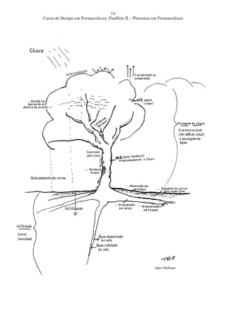 14
Curso de Design em Permacultura, Panfleto X – Florestas em Permacultura
 