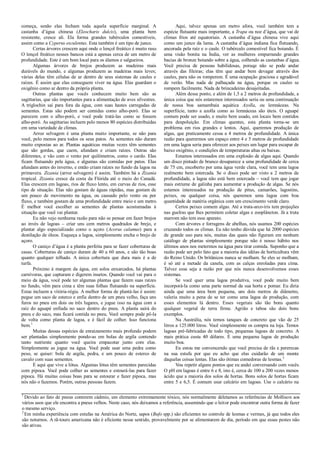 começa, senão elas fecham toda aquela superfície marginal. A
castanha d’água chinesa (Eleocharis dulcis), uma planta bem
resistente, cresce ali. Ela forma grandes tubérculos comestíveis,
assim como a Cyperus esculentus. Esta também é um tipo de junco.
Certas árvores crescem aqui onde o lençol freático é muito raso.
O lençol freático nesses bancos está a apenas cerca de um metro de
profundidade. Este é um bom local para os álamos e salgueiros.
Algumas árvores de brejos produzem as madeiras mais
durávels do mundo, e algumas produzem as madeiras mais leves;
várias delas têm células de ar dentro de seus sistemas de caules e
raízes. É assim que elas conseguem viver na água. Elas guardam o
oxigênio como ar dentro da própria planta.
Outras plantas que vocês conhecem muito bem são as
sagittarias, que são importantes para a alimentação de aves silvestres.
A triglochin sai para fora da água, com suas hastes carregadas de
sementes. Estas são podem ser comidas como alho-poró. Elas se
parecem com o alho-poró, e você pode tratá-las como se fossem
alho-poró. As sagittarias incluem pelo menos 80 espécies distribuídas
em uma variedade de climas.
Arroz selvagem é uma planta muito importante, se não para
você, pelo menos para todos os seus patos. As sementes não duram
muito expostas ao ar. Plantas aquáticas muitas vezes têm sementes
que são gordas, que caem, afundam e criam raízes. Outras são
diferentes, e vão com o vento por quilômetros, como o cardo. Elas
ficam flutuando pela água, e algumas são comidas por patos. Elas
afundam antes do inverno, e então criam raízes no fundo da lagoa na
primavera. Zizania (arroz selvagem) é assim. Também há a Zizania
tropical. Zizania cresce da costa da Flórida até o meio do Canadá.
Elas crescem em lagoas, rios de fluxo lento, em curvas de rios, esse
tipo de situação. Elas não gostam de águas rápidas, mas gostam de
um pouco de movimento na água, ou causado pelo vento ou por
fluxo, e também gostam de uma profundidade entre meio e um metro.
É melhor você escolher as sementes de plantas acostumadas à
situação que você vai plantar.
Eu não vejo nenhuma razão para não se pensar em fazer brejos
ao invés de lagoas – criar uns cem metros quadrados de brejo, e
plantar algo especializado como o açoro (Acorus calamus) para a
destilação de óleos. Esqueça a lagoa, simplesmente encha o brejo de
açoro.
O caniço d’água é a planta perfeita para se fazer coberturas de
casas. Coberturas de caniço duram de 40 a 60 anos, e são tão boas
quanto qualquer telhado. A única cobertura que dura mais é a de
turfa.
Próximo à margem da água, em solos enxarcados, há plantas
carnívoras, que capturam e digerem insetos. Quando você vai para o
meio da água, você pode ter algumas plantas que fazem suas raízes
no fundo, vêm para cima e têm suas folhas flutuando na superfície.
Estas incluem a vitória-régia. A melhor forma de plantá-las é assim:
pegue um saco de esterco e enfie dentro de um pneu velho, faça uns
furos no pneu em dois ou três lugares, e jogue isso na água com a
raíz do aguapé enfiada no saco dentro do pneu. A planta sairá do
pneu e do saco, mas ficará contida no pneu. Você sempre pode pô-la
de volta como planta de lagoa, e é fácil de colher. Isso funciona
bem.1
Muitas dessas espécies de enraizamento mais profundo podem
ser plantadas simplesmente pondo-as em bolas de argila contendo
tanto nutriente quanto você queira empacotar junto com elas.
Simplesmente as jogue na água. Você pode usar uma pedra como
peso, se quiser: bola de argila, pedra, e um pouco de esterco de
cavalo com suas sementes.
É aqui que vive a lótus. Algumas lótus têm sementes parecidas
com pipoca. Você pode colher as sementes e estourá-las para fazer
pipoca. Há muitas coisas boas para se estourar e fazer pipoca, mas
nós não o fazemos. Porém, outras pessoas fazem.
Aqui, talvez apenas um metro afora, você também tem a
espécie flutuante mais importante, a Trapa ou noz d’água, que vai de
climas frios até equatoriais. A castanha d’água chinesa vive aqui
como um junco da lama. A castanha d’água indiana fica flutuando,
ancorada pela raíz e o caule. O tubérculo comestível fica boiando. É
uma visão bonita na Índia, ver as mulheres empurrando grandes
bacias de bronze boiando sobre a água, colhendo as castanhas d’água.
Você precisa de pessoas habilidosas, poruqe não se pode andar
através das fileiras; elas têm que andar bem devagar através dos
caules, para não os romperem. É uma ocupação graciosa e agradável
de verão. Mas nada de palhaçada na água, porque os caules se
rompem facilmente. Nada de brincadeiras desajeitadas.
Além desse ponto, e além de 1,5 a 2 metros de profundidade, a
única coisa que nós estaremos interessados seria ou uma continuação
de nossa boa samambaia aquática Azolla, ou lemnáceas. Na
superfiície, tanto a azolla como as lemnáceas são úteis. O aguapé
comum pode ser usado, e muito bem usado, em locais bem contidos
para despoluição. Em climas quentes, esta planta torna-se um
problema em rios grandes e lentos. Aqui, queremos produção de
algas, que praticamente cessa a 4 metros de profundidade. A única
razão para querermos um espaço entre 4 e 5 metros de profundidade
em uma lagoa seria para oferecer aos peixes um lugar para escapar de
baixo oxigênio, e condições de temperaturas altas ou baixas.
Estamos interessados em uma explosão de algas aqui. Quando
um disco pintado de branco desaparece a uma profundidade de cerca
de 75 cm, encoberto por uma água verde clara, você tem uma lagoa
realmente bem estercada. Se o disco pode ser visto a 2 metros de
profundidade, a lagoa não está bem estercada – você tem que jogar
mais estrume de galinha para aumentar a produção de algas. Se nós
estamos interessados na produção de pitus, camarões, lagostins,
peixes, ou qualquer coisa, nós queremos uma lagoa com boa
quantidade de matéria orgânica com um crescimento verde claro.
Certos peixes comem algas. Até a truta-arco-íris tem projeções
nas guelras que lhes permitem coletar algas e zooplâncton. Já a truta
marrom não tem esse aparato.
Com árvores e forragens de abelhas, nós usamos 200 espécies
cruzando todos os climas. Eu não tenho dúvida que há 2000 espécies
de grande uso para nós, muitas das quais não figuram em nenhum
catálogo de plantas simplesmente porque não é nosso hábito nos
últimos anos nos metermos na água para tirar comida. Suponho que a
razão pode ser pelo fato que a maioria das idéias de horticultura vêm
do Reino Unido. Os britânicos nunca se molham. Se eles se molham,
é só até a metade da canela, com as calças enroladas para cima.
Talvez essa seja a razão por que nós nunca desenvolvemos esses
sistemas.
Se você quer uma lagoa produtiva, você pode muito bem
incorporá-la como uma parte normal da sua horta e pomar. Eu diria
ainda que uma área bem pequena, uns dois metros de diâmetro,
valeria muito a pena de se ter como uma lagoa de produção, com
esses elementos lá dentro. Esses vegetais são tão bons quanto
qualquer vegetal de terra firme. Agrião e taboa são dois bons
exemplos.
Na Austrália, nós temos tanques de concreto que vão de 25
litros a 125.000 litros. Você simplesmente os compra na loja. Temos
lagoas pré-fabricadas de todo tipo, pequenas lagoas de concreto. A
mais prática custa 40 dólares. É uma pequena lagoa de produção
muito boa.
Eu estou me convencendo que você precisa de rãs e pererecas
na sua estufa por que eu acho que elas cuidarão de um monte
daquelas coisas lentas. Elas são ótimas comedoras de lesmas.2
Vou repetir alguns pontos que eu andei conversando com vocês.
O pH em lagoas é entre 6 e 8, isto é, cerca de 100 a 200 vezes menos
ácido que a maioria dos solos de hortas. Bons solos de hortas ficam
entre 5 e 6,5. É comum usar calcário em lagoas. Use o calcário na
1
Devido ao fato de pneus conterem cádmio, um elemento extremamente tóxico, nós normalmente deletamos as referências de Mollison aos
vários usos que ele encontra a pneus velhos. Neste caso, nós deixamos a referência, assumindo que o leitor pode encontrar outra forma de fazer
o mesmo serviço.
2
Em minha experiência com estufas na América do Norte, sapos (Bufo spp.) são eficientes no controle de lesmas e vermes, já que todos eles
são noturnos. A rã-touro americana não é eficiente nesse sentido, provavelmente por se alimentarem de dia, período em que essas pestes não
são ativas.
 