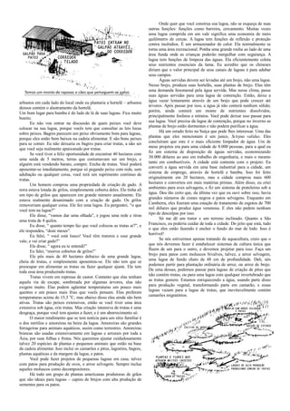arbustos em cada lado do local onde eu plantaria a hortelã – arbustos
densos contém o alastramento da hortelã.
Um bom lugar para bambu é do lado de lá de suas lagoas. Fica muito
bonito.
Eu não vou entrar na discussão de quais peixes você deve
colocar na sua lagoa, porque vocês tem que consultar as leis locas
sobre peixes. Bagres parecem um peixe obviamente bom para lagoas,
porque eles estão bem baixos na cadeia alimentar. E são bons peixes
para se comer. Eu não deixaria os bagres para criar trutas, a não ser
que você seja realmente apaixonado por trutas.
Se você tiver a feliz oportunidade de encontrar 40 hectares com
uma saída de 5 metros, terras que costumavam ser um brejo, e
alguém está vendendo barato, compre. Encha de trutas. Você poderá
aposentar-se imediatamente, porque só pegando peixe com rede, sem
adubação ou qualquer coisa, você terá um suprimento contínuo de
trutas.
Um homem comprou uma propriedade de criação de gado. A
terra estava lotada de grilos, simplesmente coberta deles. Ele tinha ali
um tipo de grilos que aparecem em grande número anualmente. Ele
estava realmente desanimado com a criação de gado. Os grilos
removeriam qualquer coisa. Ele fez uma lagoa. Eu perguntei, “o que
você tem na lagoa?”
Ele disse, “vamos dar uma olhada”, e jogou uma rede e tirou
uma truta de 4 quilos.
Eu disse, “ quanto tempo faz que você colocou as trutas aí?”, e
ele respondeu, “doze meses”.
Eu falei, “ você está louco! Você têm tratores e esse grande
vale, e vai criar gado?”
Ele disse, “ agora eu te entendi!”
Eu falei, “morros cobertos de grilos!”
Ele pôs mais de 40 hectares debaixo de uma grande lagoa,
cheia de trutas, e simplesmente aposentou-se. Ele não tem que se
preocupar em alimentar as trutas ou fazer qualquer ajuste. Ele tem
toda essa área produzindo trutas.
Trutas vivem em represas de castor. Contanto que elas tenham
aquela via de escape, sombreada por algumas árvores, elas não
exigem muito. Elas podem agüentar temperaturas um pouco mais
quentes e um pouco mais frias que vocês pensam. Elas preferem
temperaturas acima de 15,5 o
C, mas abaixo disso elas ainda são bem
ativas. Trutas são peixes extensivos, então se você tiver uma área
extensiva sob água, crie trutas. Mas criação intensiva de trutas é uma
desgraça, porque você tem ajustes a fazer, e é um aborrecimento só.
O maior rendimento que se tem notícia para um sítio familiar é
o dos mirtilos e amoreiras na beira da lagoa. Amoreiras são grandes
forrageiras para animais aquáticos, assim como terrestres. Amoreiras
brancas são usadas extensivamente em lagoas e arrozais por toda a
Ásia, por suas folhas e frutas. Nós queremos ajustar cuidadosamente
talvez 20 espécies de plantas e pequenos animais que estão na base
da cadeia alimentar. Isso inclui os camarões e pitus, lagostins, bagres,
plantas aquáticas e da margem da lagoa, e patos.
Você pode fazer projetos de pequenas lagoas em casa, talvez
com patos para produção de ovos, e arroz selvagem. Sempre inclua
aqueles moluscos como decompositores.
Há todo um grupo de plantas americanas produtoras de grãos
que são ideais para lagoas – capins de brejos com alta produção de
sementes para os patos.
Onde quer que você construa sua lagoa, não se esqueça de suas
outras funções: funções como barreira, cercamento. Muitas vezes
uma lagoa comprida em um vale significa uma economia de meio
quilômetro de cercas. A lagoa tem funções de reflexão e proteção
contra incêndios. É um armazenador de calor. Ela normalmente se
torna uma área recreacional. Ponha uma grande rocha ao lado de uma
área funda onde as crianças poderão mergulhar com segurança. A
lagoa tem funções de limpeza das águas. Ela eficientemente coleta
seus nutrientes essenciais da lama. Eu acredito que os chineses
diriam que o valor principal de seus canais de lagoas é para adubar
seus campos.
Águas servidas devem ser levadas até um brejo, não uma lagoa.
Nesse brejo, produza suas hortelãs, suas plantas de brejo. Elas têm
uma demanda fenomenal pela água servida. Mas nesse clima, passe
suas águas servidas para uma lagoa de contenção. Então, deixe a
água vazar lentamente através de um brejo que pode crescer até
árvores. Após passar por isso, a água já não conterá nenhum sólido;
porém, ainda conterá um monte de nutrientes dissolvidos,
principalmente fosfatos e nitratos. Você pode deixar isso passar para
sua lagoa. Você precisa da lagoa de contenção, porque no inverno as
plantas de brejo estão dormentes e não podem purificar a água.
Há um estudo feito na Suíça que pode lhes interessar. Uma das
plantas que eles mencionam é um junco, Scirpus validus. Eles
concluíram que este é o mais eficiente limpador de água. Um de
meus projetos era para uma cidade de 8.000 pessoas, para a qual eu
fiz um sistema de disposição de águas servidas, economizando
30.000 dólares ao ano em trabalho de engenharia, e mais o mesmo
tanto em combustíveis. A cidade está contente com o projeto. Eu
converti a água servida em uma base industrial para a cidade, um
sistema de emprego, através de hortelã e bambu. Isso foi feito
originalmente em 20 hectares, mas a cidade comprou mais 600
hectares e converteu em mais matérias primas. Além disso, eu criei
ambientes para aves selvagens, e fiz um sistema de prateleiras sob a
água. Deu tão certo que, da última vez que eu ouvi sobre isso, havia
grandes números de cisnes negros e patos selvagens. Enquanto em
Camberra, eles fizeram uma estação de tratamento de esgotos de 700
mil dólares que produz água venenosa. E eles não pedem nenhum
tipo de desculpas por isso.
Só me dê um trator e um terreno inclinado. Quanto a São
Francisco, eu poderia cuidar de toda a cidade. Do jeito que está, tudo
o que eles estão fazendo é encher o fundo do mar de lodo. Isso é
horrível!
Se nós estivermos apenas tratando de aquacultura, creio que o
que nós devemos fazer é estabelecer sistemas de cultura única que
fluem de um para o outro, e devemos projetar para isso. Faça um
brejo para patos com moluscos bivalves, talvez, e arroz selvagem,
uma lagoa de fundo chato de 48 cm de profundidade. Dali, nós
podemos partir para plantação ordinária de arroz, ou arroz de brejo.
De uma dessas, podemos passar para lagoas de criação de pitus que
não contém trutas, ou para uma lagoa com qualquer invertebrado que
as trutas gostem. Estamos enriquecendo a água, usando parte disso
para produção vegetal, transformando parte em camarão, e essas
lagoas vazam para a lagoa de trutas, que inevitavelmente contém
camarões migratórios.
 