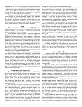 esbarrada com um trator. Então é só esperar, e ir acompanhando o que
acontece com aquela árvore: dentro de uns três dias uma série de
“pestes”, insetos e outros decompositores, já estiveram por lá, visitando
a lesão na árvore. A árvore pode já estar com seus dias contados. O que
atrai as “pestes” é o cheiro de uma árvore doente; a árvore virou
“comida”, e os insetos começam a se alimentar dela.
Portanto, os insetos não são a causa da morte das florestas; a
causa da morte das florestas são traumas múltiplos. Nós apontamos
para algum bicho e dizemos: “o bicho fez isso!” É sempre muito mais
fácil culpar os outros, então, vamos culpar os insetos. Mas isso é uma
conspiração, na verdade, já que as nossas ações é que estão afetando as
florestas, através das mudanças na penetração de luz, poluentes, chuva
ácida. As pessoas, e não os insetos, estão matando as florestas.
Solos
Tanto quanto podemos calcular, por volta de 1950 já havíamos
perdido cerca de 50% dos solos que já existiram. Desde então, vimos
medindo muito bem a perda de solos, e sabemos que depois disso já
perdemos mais uns 30% dos solos restantes.
A taxa pela qual os solos são criados é de cerca de 1,6 toneladas
por hectare por ano – muito menos que isso em áreas secas. Solos são
criados pela precipitação chuvosa e ação de plantas, e se você não
perde mais que 1,6 toneladas de solo por hectare por ano, você tem um
empate. Mas vamos olhar para o que geralmente acontece: na Austrália,
perdemos cerca de 65 toneladas de solo por hectare cultivado por ano.
Vocês aqui na América fazem bem melhor que isso. Onde se produz
milho, pode-se perder até cerca de 1000 toneladas por hectare por ano,
embora a média fique em torno de 50 toneladas. Portanto, não estamos
indo muito bem. No Canadá, estão medindo a perda em termos de
húmus, o que no final é mais ou menos o mesmo. Lá, estão ficando
sem húmus. Nas pradarias, onde começaram com solos ricos em húmus,
o que eles têm agora é um solo puramente mineral.
Isto é algo que deveria ser do interesse de cada um de nós. Para
cada pessoa no mundo, seja americano ou indiano, se você come grãos
isso custa cerca de 12 toneladas de solo por pessoa por ano para
produzir esses grãos, tudo em resultado da prática de aração do solo. Se
você está arando, automaticamente está perdendo solo. No ritmo em
que estamos perdendo solos, parece que daqui a uma década não
teremos mais nenhum solo cultivável. E fora o solo que perdemos
diretamente pela aração, também estamos perdendo quantidades
enormes de solo pelo chamado processo de desertificação. No estado
de Victoria, na Austrália, perdemos 320.000 hectares de solo este ano
para o sal. Isso significa não apenas a perda de solo pela aração, mas
também solos que não aramos.
Desmatamento Causa Perda de Solo
Agora, a razão principal para a perda de solos é o desmatamento.
E quase sempre o desmatamento ocorre longe de onde o solo se perde.
Isso é, não há nada que você possa fazer se seu solo começar a ficar
salobro aqui, porque a razão para isso encontra-se bem acima no
terreno, talvez a mais de mil quilometros de distância. Agora,
começamos a ter esse problema em climas úmidos na Austrália. Isso
está virando um “fator fora de lugar”. Não ocorre mais apenas em
desertos, mas também em locais úmidos, com invernos úmidos. Como
pode isso acontecer?
Não se trata de um processo simples, mas dá pra entender:
conforme a chuva cai nas colinas e penetra nas florestas, representando
uma transferência descendente. Removendo as florestas, passamos a ter
uma perda de evaporação. As florestas transmitem água limpa para
baixo, e liberam água limpa para a atmosfera. Essa transferência para
baixo carrega consigo sais, que são uma parte inevitável das 10
toneladas de solo que são produzidas por hectare pelo desgaste das
rochas. Esses sais normalmente viajam ao longo de depósitos
subterrâneos. Estes não são sistemas de superfície. Água fresca corre a
partir da superície e infiltra-se na terra. Até mesmo em climas úmidos,
a água é muito mais salina em grandes profundidades que a água mais
superficial. Isto ocorre porque as árvores agem como bombas,
mantendo os depósitos de minerais em maior profundidade.
Ao cortarmos florestas, os depósitos minerais diminuem de
profundidade em taxas mensuráveis, e isso está acontecendo em
enormes áreas na América, África e Austrália. Quando esses depósitos
chegam a cerca de 1 metro abaixo da superfície, as árvores comecam a
morrer, atacadas por pestes. E quando chegam a cerca de meio metro,
outras plantas começam a morrer. E quando atingem a superfície,
evaporam e o solo fica visivelmente salgado. Então, o governo
australiano começa a dar bombas grátis para fazendeiros, e eles
começam a bombear a água salgada. E onde eles podem descarregar a
água que tiram com as bombas? Grande problema!
O próximo passo é distribuir concreto, de forma que a água
desviada de rios enxarca o solo enquanto eles estão bombeando a água
salgada para o mar. E terão que contiuar fazendo isso para sempre.
Agora você quer milhares de bombas. Ao mesmo tempo que o governo
está dando bombas para os fazendeiros, está financiando mais licensas
de desmatamento para multinacionais, que estão indo muito bem por
sinal. Então, estão vendendo bombas de um lado e madeira picada do
outro. É uma situação feliz para algumas pessoas, mas uma catástrofe
para a Terra.
A maioria das pessoas, porém, não está indo nada bem. Então
estamos perdendo solos e aumentando o deserto a um ritmo
simplesmente aterrorizante. E isso sem nenhuma aração para a
agricultura. Você pergunta aos analistas das multinacionais se eles têm
consciência desses problemas? Não, eles são formados em economia e
administração, e todo tipo de área irrelevante.
Mineração também é um fator importante na salinização dos
solos em nível local, e foi a responsável sozinha pela perda de todas as
florestas em áreas do oeste da Austrália, e sem dúvida também em
outros lugares. Mineração traz muitos resíduos que são evaporados na
superfície.
Estradas, Cidades e Poços
O maior fator isolado na Grã-Bretanha causando perda de solos é
a construção de rodovias. Este é um fator importante também na
América. Na Grã-Bretanha, acho que tem um quilômetro de estrada
para cada quilômetro quadrado de área. E as rodovias estão sendo
rapidamente extendidas, baseado no pressuposto que você nunca vai
precisar daquele solo, e que estradas vão possibilitar um aumento no
uso de energia. Estradas causam perda permanente de solos, assim
como as cidades.
As cidades ocupam 11% dos solos de boa qualidade na Terra. O
Canadá é um exemplo interessante, onde cidades são construídas em
solos da melhor qualidade, deixando a agricultura ficar com o que resta.
Ao mesmo tempo, quer-se pelo menos a manutenção, e em alguns
casos um aumento da produtividade, nos solos que restam. Como a
perda de solos cultiváveis é devida largamente à aplicação excessiva de
energia – mecânica e também química – então o fato de estarmos
tentando manter a produtividade nos solos restantes significa que a taxa
de perda deve aumentar, devido ao fato que nós usamos mais e mais
energia em menos e menos área.
Outros fatores contribuem para a perda de solos. No sudoeste
árido dos Estados Unidos, há uma agricultura do tipo “cortar e correr”,
no qual você fura um poço e bombeia água semi-salina para irrigar
culturas anuais. Você mantém isso por quatro anos. Então, a superfície
já está altamente mineralizada e você tem que procurar outra área e
furar outro poço, o que resulta em uma destruição progressiva. Dá pra
você ver isso. Você tem dois ou três anos bons, então a atividade passa
a cair abaixo de níveis econômicos. Os solos geralmente ficam colados
com carbonatos, e desistem. O pH aumenta cerca de dois pontos por
ano. Você pode começar com um pH 8 e rapidamente ir para pH11.
Então, você dá o fora.
Agora vamos olhar para a perda de solos pelos ventos. Isto
causou a falência dos solos do interior dos Estados Unidos. Há solos
sendo carregados pelos ventos, para fora de Los Angeles, e caindo
como chuva vermelha. Solos das áreas marginais da Austrália central
caem sobre cidades como uma espécie de lama bem fina, calculada em
 
